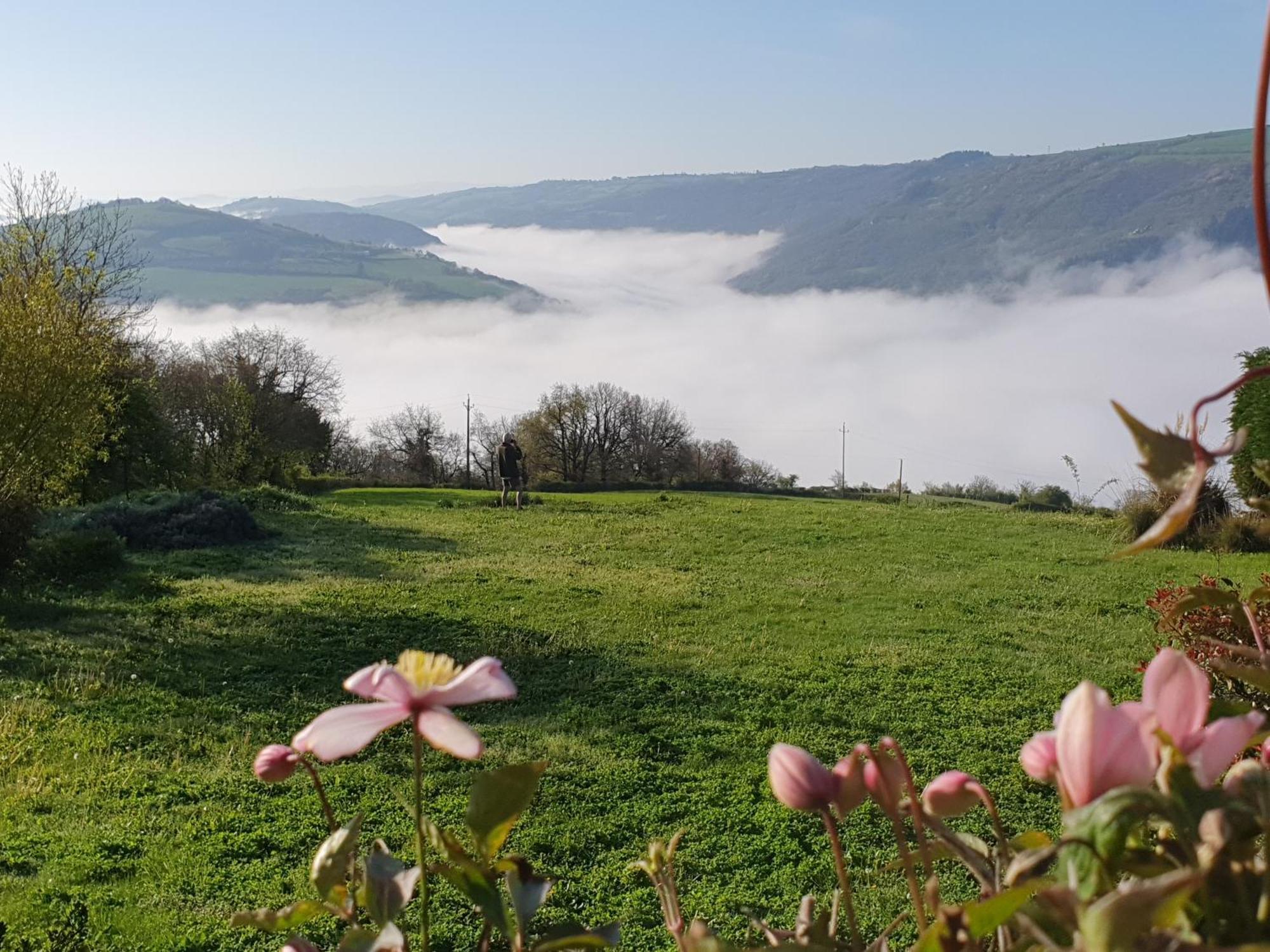 ConnacLa Colline Du Chat Perche别墅 外观 照片